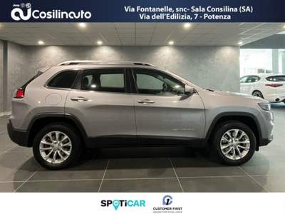 Jeep Cherokee 2.2 Mjt AWD Active Drive I Longitude 195 Cv Grigio usata Sala Consilina
