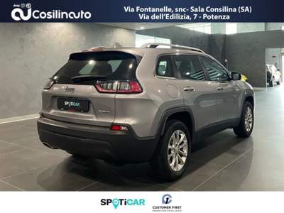 Jeep Cherokee 2.2 Mjt AWD Active Drive I Longitude 195 Cv Grigio usata Sala Consilina
