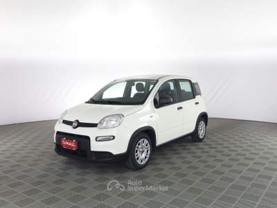 Fiat Panda Panda 1.0 FireFly S&S Hybrid Bianco usata Milano