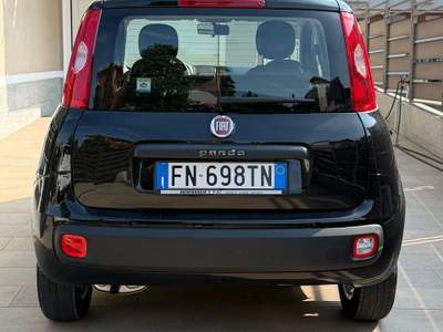 Fiat Panda Fiat Panda 1200 benzina usata Rivoli