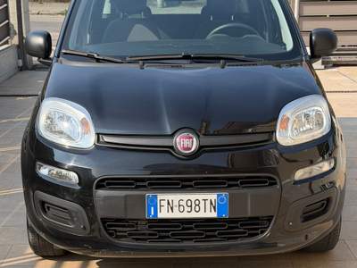 Fiat Panda Fiat Panda 1200 benzina usata Rivoli