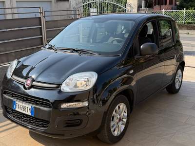 Fiat Panda Fiat Panda 1200 benzina usata Rivoli