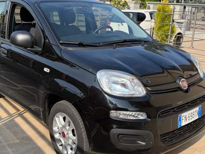 Fiat Panda Fiat Panda 1200 benzina usata Rivoli