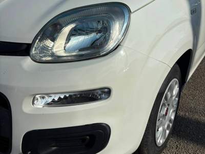 Fiat Panda EASY Bianco usata Francolise