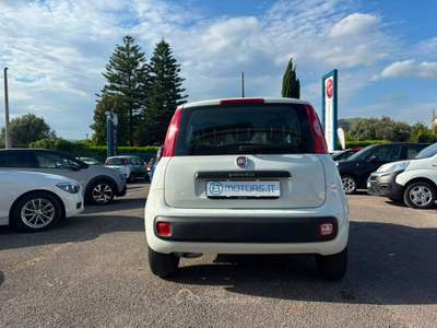 Fiat Panda EASY Bianco usata Francolise