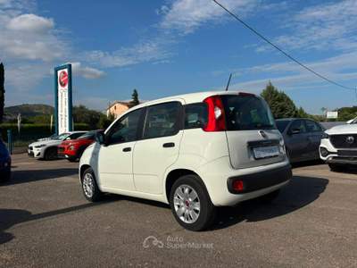 Fiat Panda EASY Bianco usata Francolise