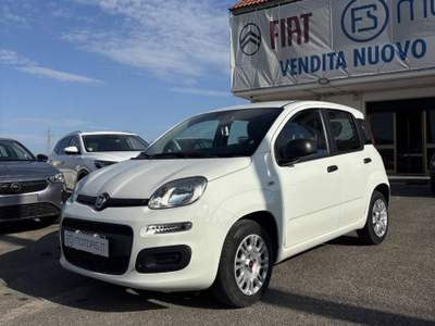 Fiat Panda EASY Bianco usata Francolise Fiat Panda EASY Bianco usata Francolise
