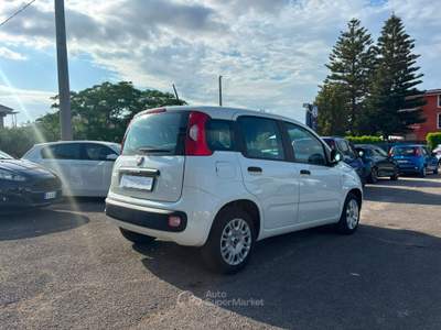 Fiat Panda EASY Bianco usata Francolise