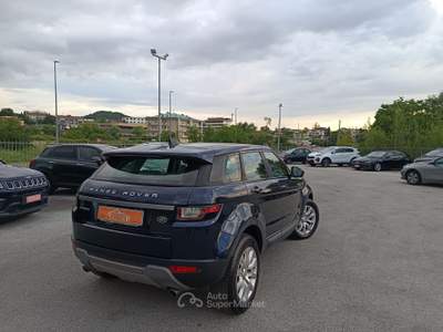Land Rover Range Rover Evoque 5p BUSINESS EDITION 150cv SE AUTO Blu/Azzurro usata Isernia