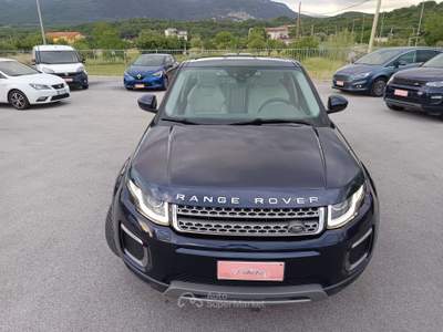 Land Rover Range Rover Evoque 5p BUSINESS EDITION 150cv SE AUTO Blu/Azzurro usata Isernia