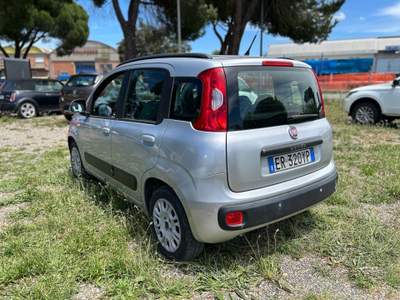 Fiat Panda *NEOPATENTATI* Argento usata Grosseto