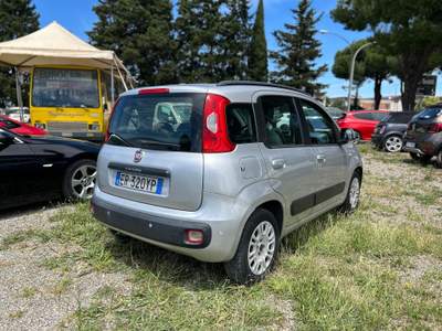 Fiat Panda *NEOPATENTATI* Argento usata Grosseto
