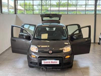 Fiat Panda 1.0 FireFly S&S Hybrid *UNICO PROPRIETARIO* Grigio usata Cologno Monzese