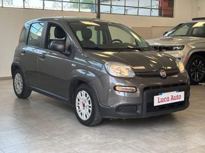 Fiat Panda 1.0 FireFly S&S Hybrid *UNICO PROPRIETARIO* Grigio usata Cologno Monzese