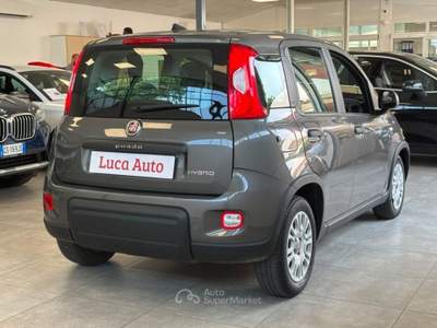 Fiat Panda 1.0 FireFly S&S Hybrid *UNICO PROPRIETARIO* Grigio usata Cologno Monzese