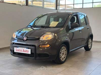Fiat Panda 1.0 FireFly S&S Hybrid *UNICO PROPRIETARIO* Grigio usata Cologno Monzese Fiat Panda 1.0 FireFly S&S Hybrid *UNICO PROPRIETARIO* Grigio usata Cologno Monzese