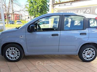 Fiat Panda Panda 1.2 Easy easypower Gpl 69cv Grigio usata Casoria