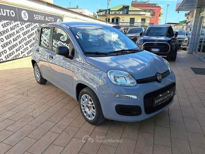 Fiat Panda Panda 1.2 Easy easypower Gpl 69cv Grigio usata Casoria