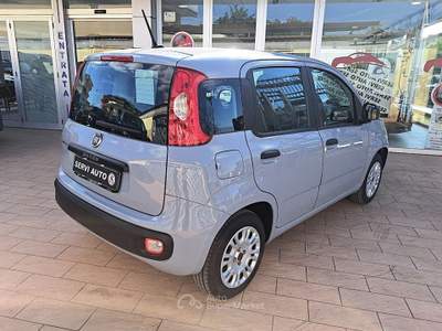 Fiat Panda Panda 1.2 Easy easypower Gpl 69cv Grigio usata Casoria