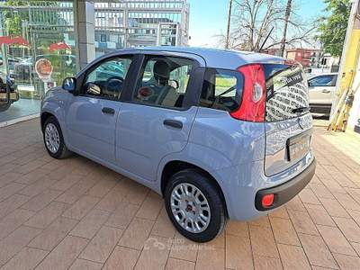 Fiat Panda Panda 1.2 Easy easypower Gpl 69cv Grigio usata Casoria