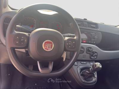 Fiat Panda Panda 1.0 FireFly Hybrid City Life Grigio usata Parma