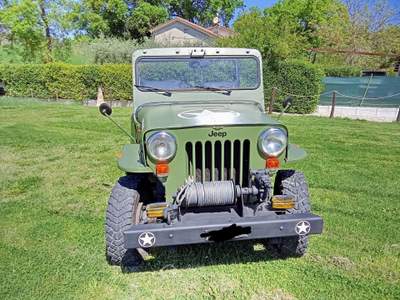 Jeep Willys jeep cj3b camioneta Verde usata Terni
