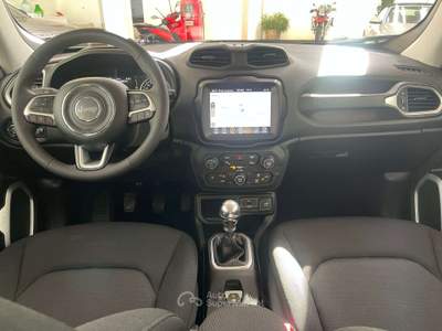 Jeep Renegade Renegade 2019 1.6 mjt Longitude 2wd 130cv Grigio usata Bari
