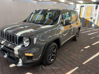 Jeep Renegade Renegade 2019 1.6 mjt Longitude 2wd 130cv Grigio usata Bari