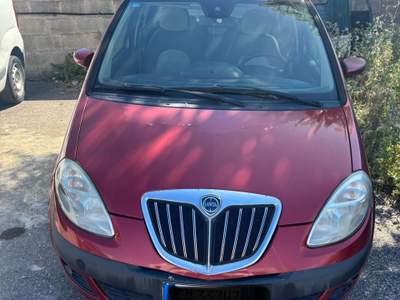Lancia Musa Lancia musa 13td neo patentato usata Livorno