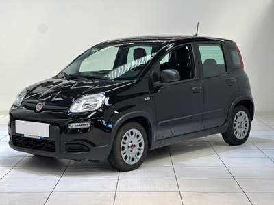 Fiat Panda 1.0 FireFly 70cv S&S Hybrid Nero usata Cassano Magnago