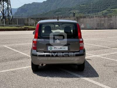 Fiat Panda FIAT Panda 1.2 Classic Grigio usata Trento