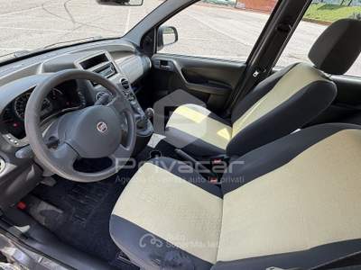 Fiat Panda FIAT Panda 1.2 Classic Grigio usata Trento
