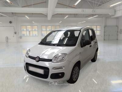 Fiat Panda FIAT PANDA 1.2 69 CV SES E6D-TEMP EASY 5 PORTE BERLINA usata Casei Gerola