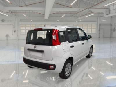 Fiat Panda FIAT PANDA 1.2 69 CV SES E6D-TEMP EASY 5 PORTE BERLINA usata Casei Gerola