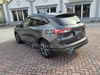 Ford Kuga FORD Kuga 1.5 EcoBoost 150 CV 2WD ST-Line X Grigio usata Gallarate