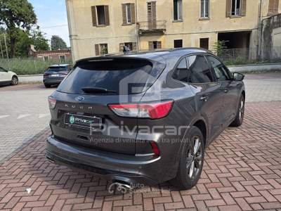 Ford Kuga FORD Kuga 1.5 EcoBoost 150 CV 2WD ST-Line X Grigio usata Gallarate