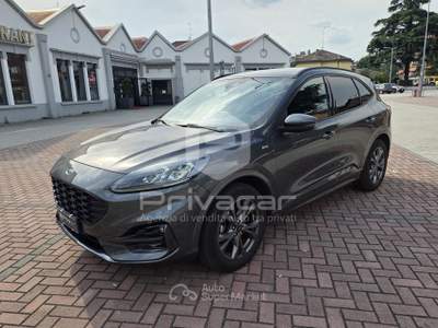 Ford Kuga FORD Kuga 1.5 EcoBoost 150 CV 2WD ST-Line X Grigio usata Gallarate