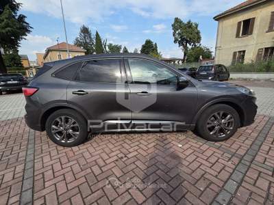 Ford Kuga FORD Kuga 1.5 EcoBoost 150 CV 2WD ST-Line X Grigio usata Gallarate