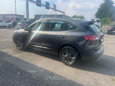Ford Kuga FORD KUGA 1.5 ECOBLUE 120 CV ST-LINE Grigio usata Busnago