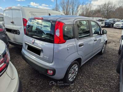 Fiat Panda VARIE VETTURE DISPONIBILI  VARI COLORI Argento usata Borgaro Torinese