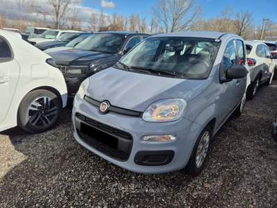 Fiat Panda VARIE VETTURE DISPONIBILI  VARI COLORI Argento usata Borgaro Torinese
