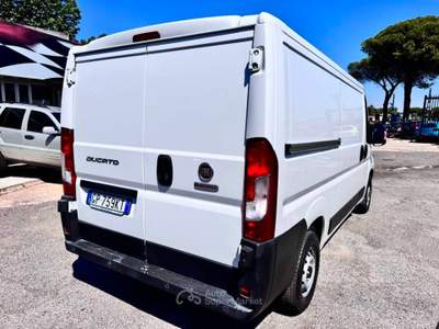 Fiat Ducato  Bianco usata Marino