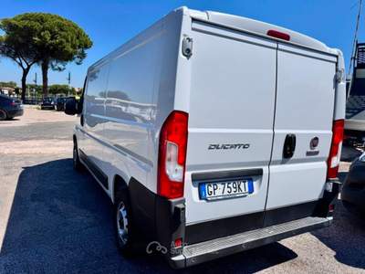 Fiat Ducato  Bianco usata Marino