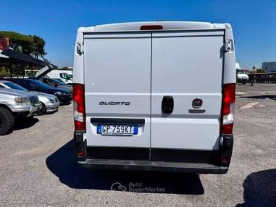 Fiat Ducato  Bianco usata Marino