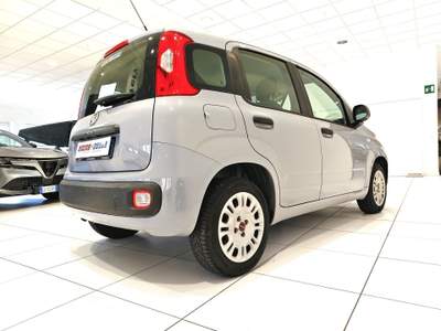 Fiat Panda Panda 1.2 Easy easypower Gpl 69cv my19*SUPER PREZZO* Grigio usata Alto Reno Terme