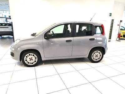 Fiat Panda Panda 1.2 Easy easypower Gpl 69cv my19*SUPER PREZZO* Grigio usata Alto Reno Terme