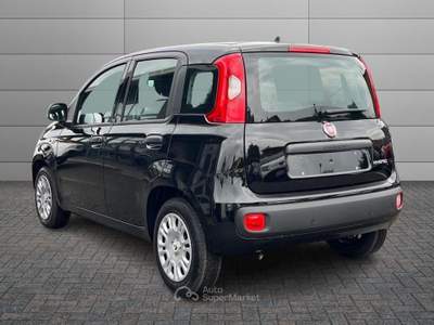 Fiat Pandina 1.0 FireFly 65cv S&S 6m Hybrid Pop Nero usata Varese