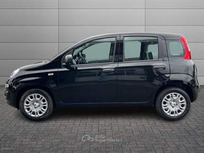 Fiat Pandina 1.0 FireFly 65cv S&S 6m Hybrid Pop Nero usata Varese