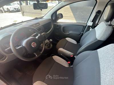 Fiat Panda 1.0 FireFly 70cv S&S Hybrid Grigio usata Pordenone