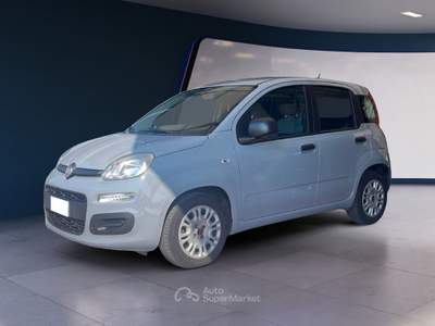 Fiat Panda 1.0 FireFly 70cv S&S Hybrid Grigio usata Pordenone